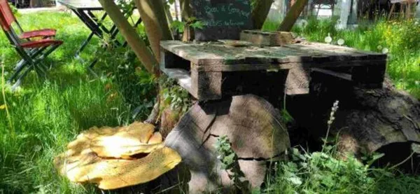 Visite d'un jardin urbain en permaculture d'une Oasis