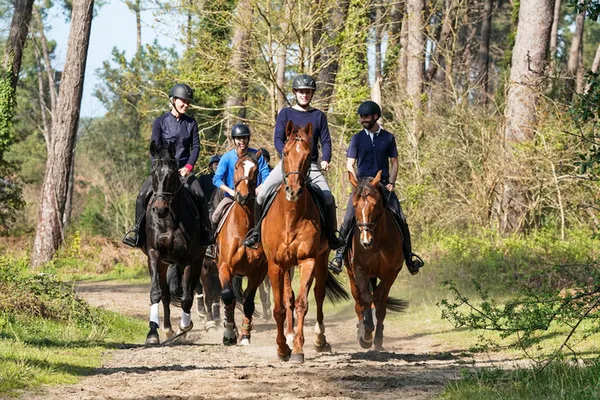 PASS découverte équitation adulte