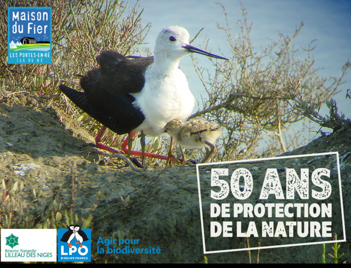 Oiseaux et Nature de la Réserve Naturelle