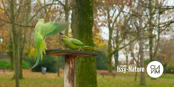 Participez à BirdLab