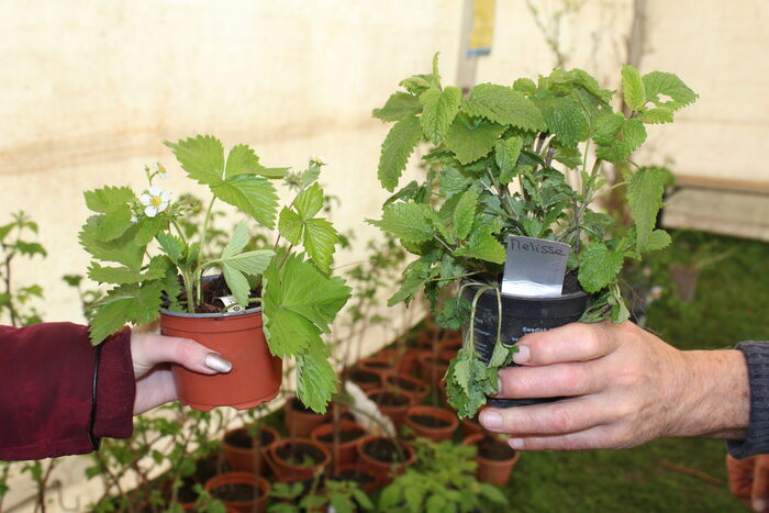 Troc'Jardin
