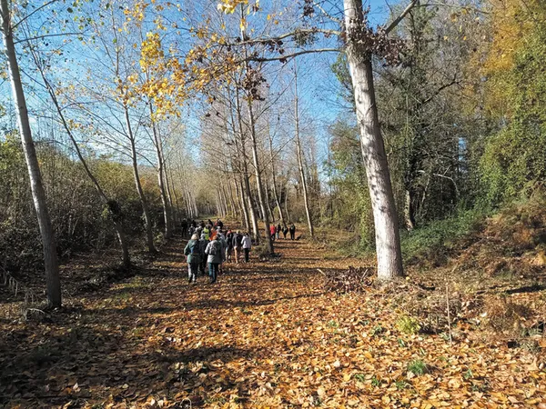 Visite libre du sentier nature