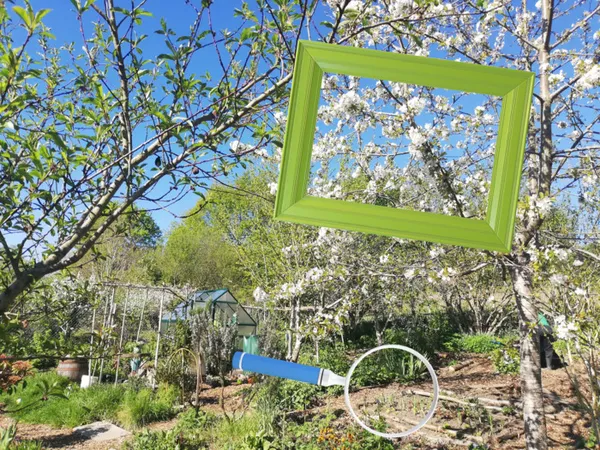 Découverte d'un jardin, du petit détail à la vue d'ensemble
