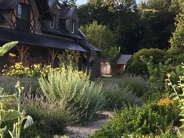 VISITE – Découverte des plantes médicinales