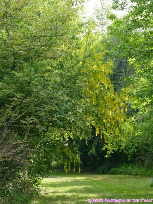 Portes ouvertes au Jardin botanique du Val d'Yser
