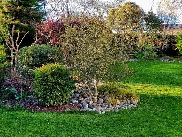 Découverte du jardin