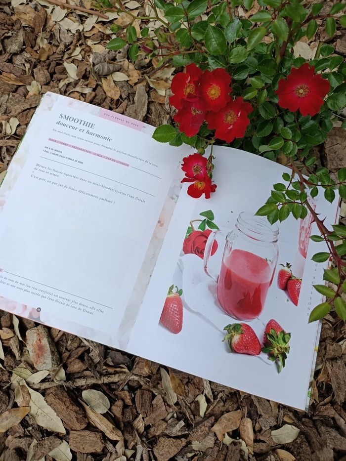 Découverte de cocktails épicés