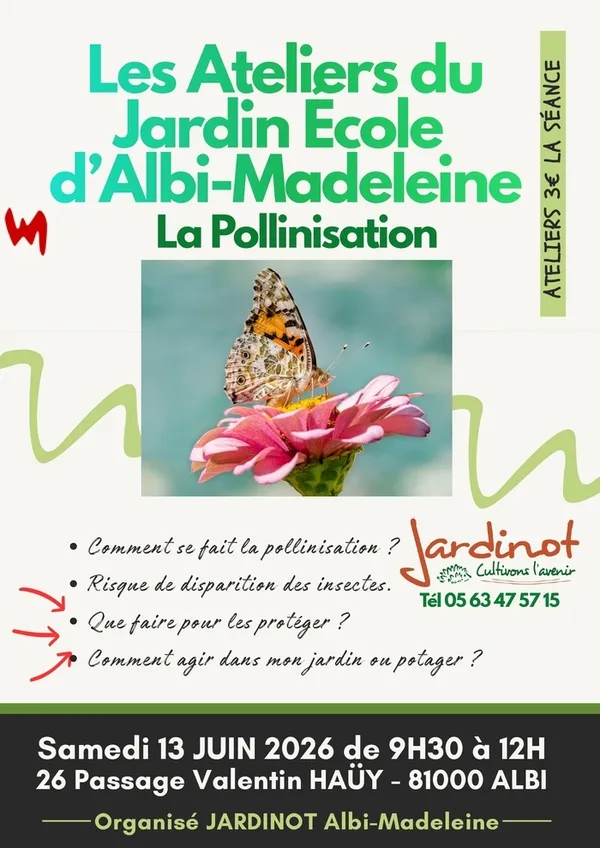 Atelier Jardinage - La pollinisation
