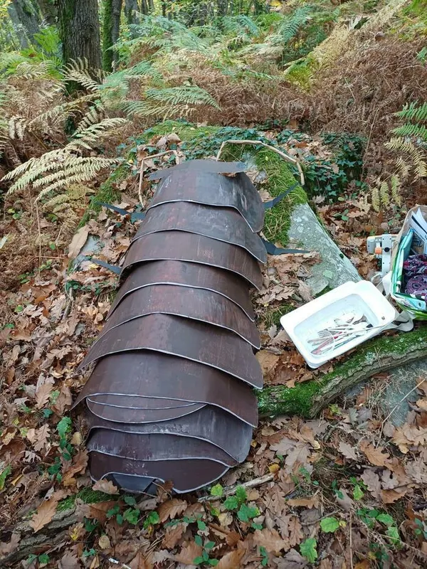 A la découverte des cloportes