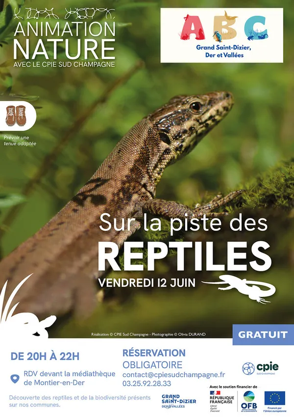 Sur la piste des reptiles