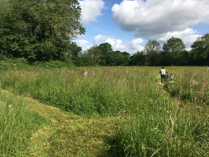 Visite commentée du jardin sauvage et de la pépinière de biodiversité