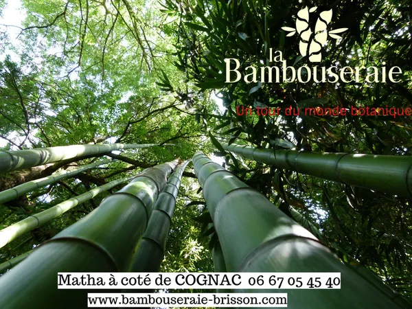 La Bambouseraie Brisson
