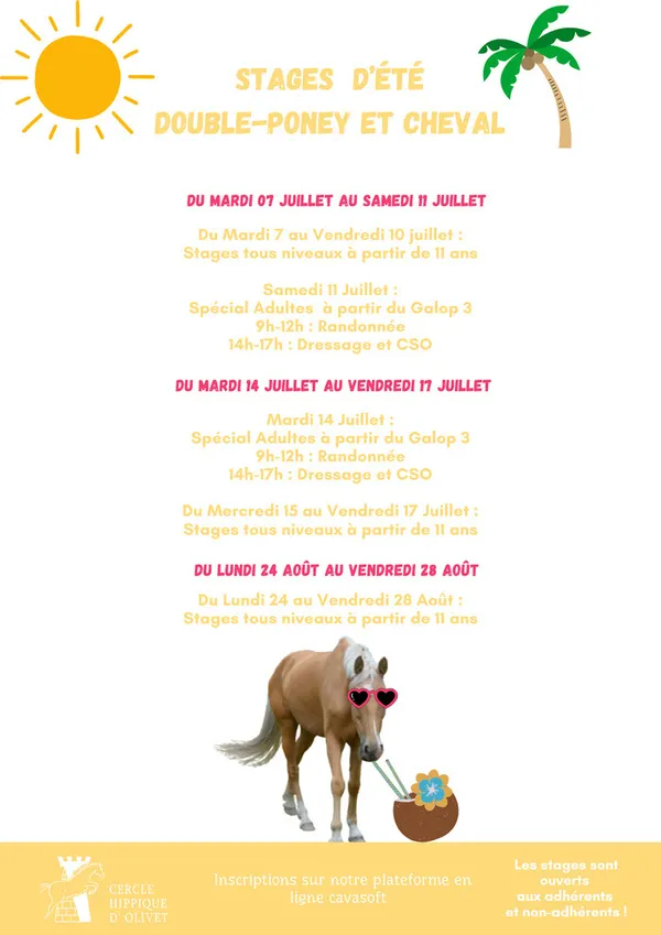 Stages d'équitation double poney et cheval au Cercle Hippique d'Olivet