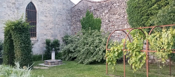 Découverte d'un jardin d'inspiration médiévale