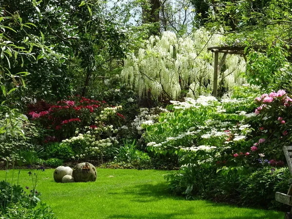 À la découverte d'un jardin à l'anglaise