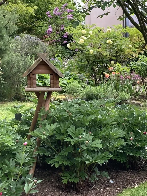 Visite du jardin botanique du Grand Clos
