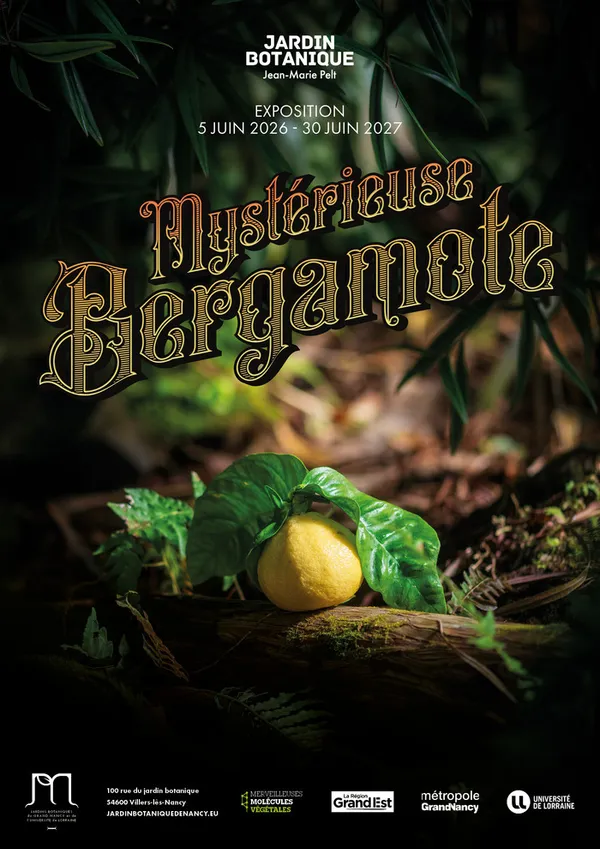 Inauguration de l'expo "Mystérieuse bergamote"