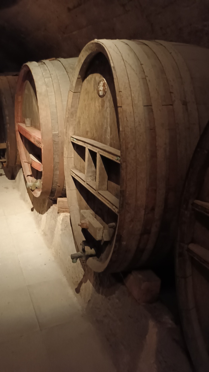 A la découverte des arômes du vin
