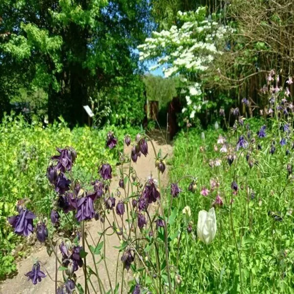 ALAIJE fête le printemps
