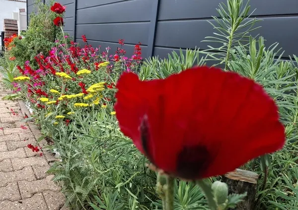 visite libre jardin privé