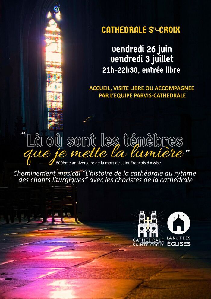 Nuit de la Cathédrale