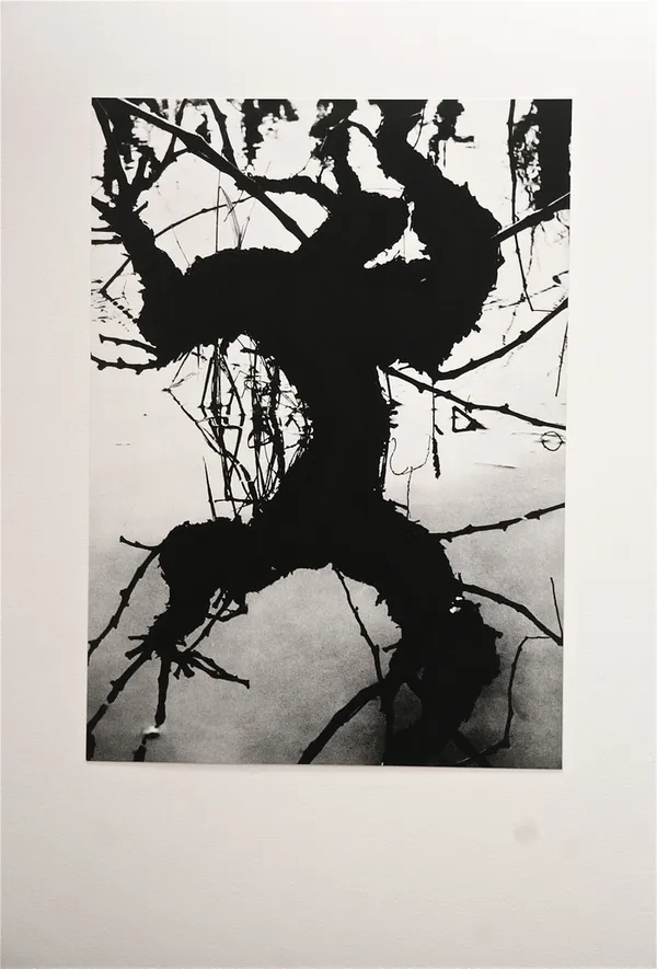 Exposition "La Camargue, un autre monde"