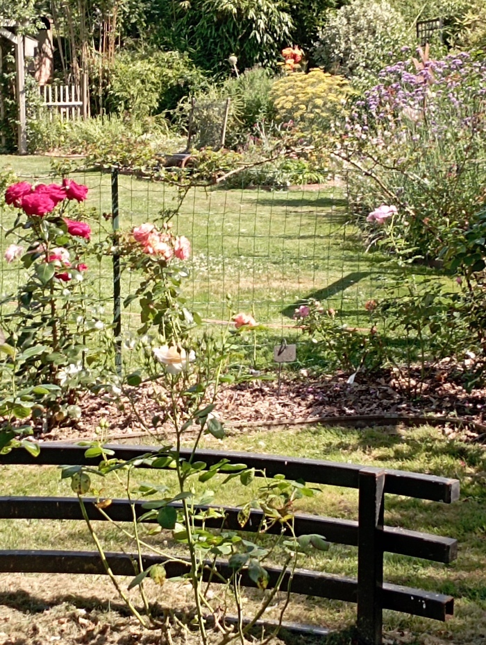 Visite des jardins flore animale