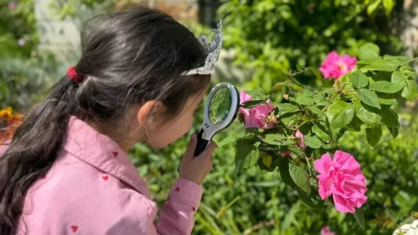 Jardin à la loupe