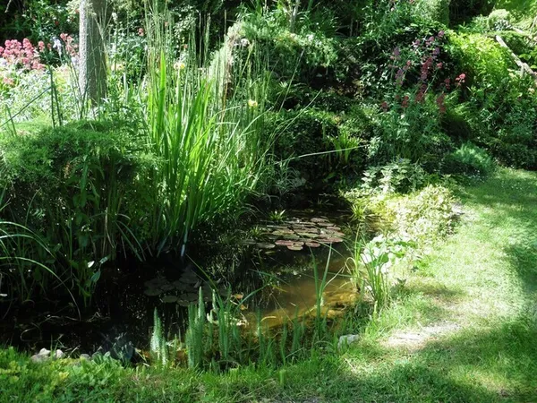 Découverte de mon jardin
