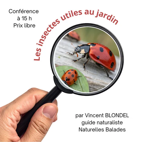 Les insectes utiles au jardin