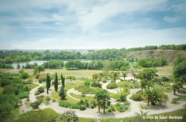 Le voyage des plantes : balade botanique et sensorielle
