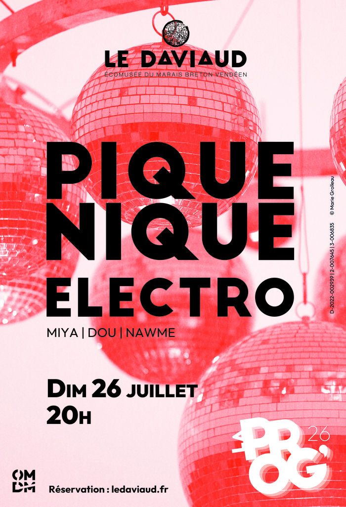 Pique-nique électro