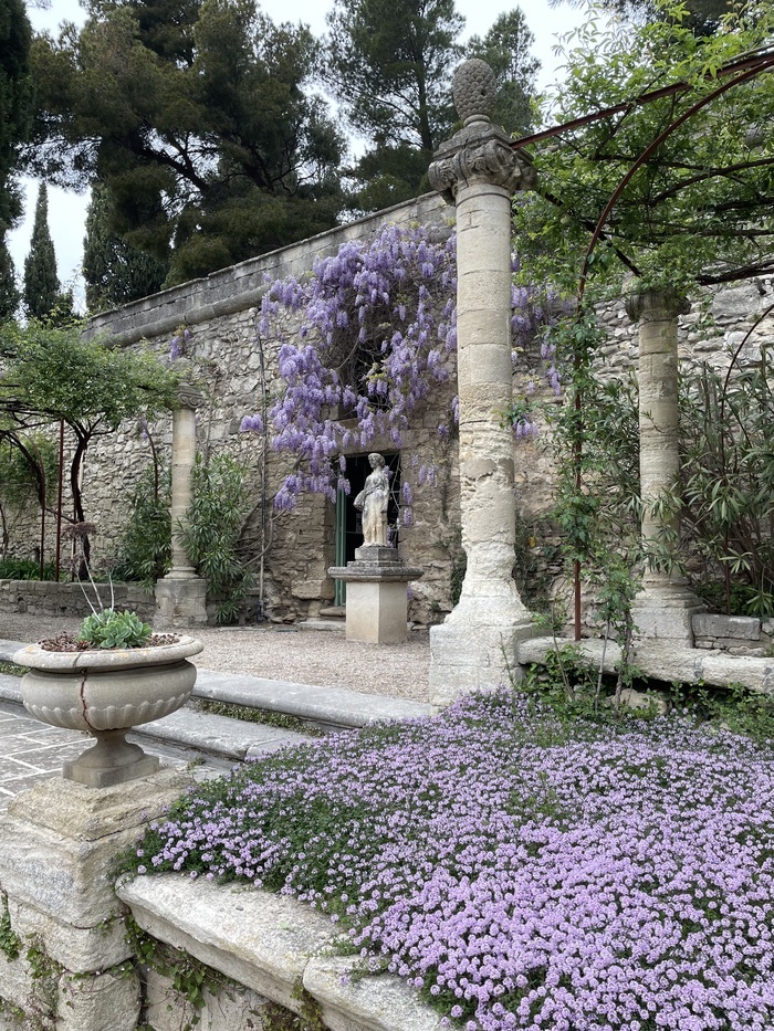 Conférence balade "De la fleur botanique à l'art"