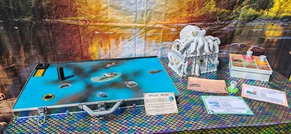 Escape Game "les 7 filles de Triton"