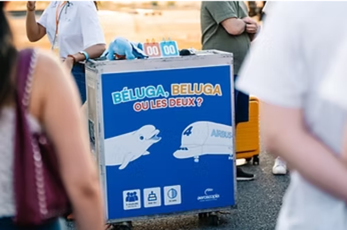 Béluga, Beluga ou les 2 ? - Du 7 au 30 juillet