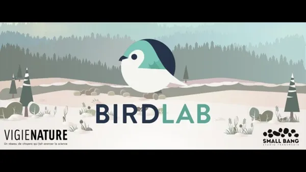 Birblab, l'appli qui fait avancer la science