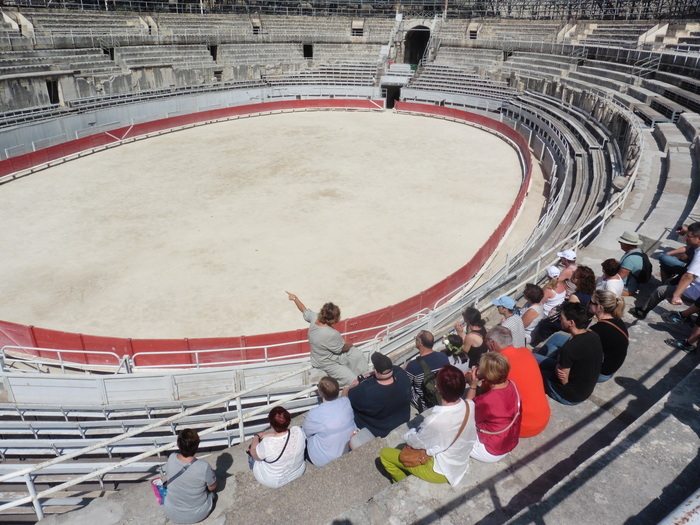 Découverte de l'Amphithéâtre