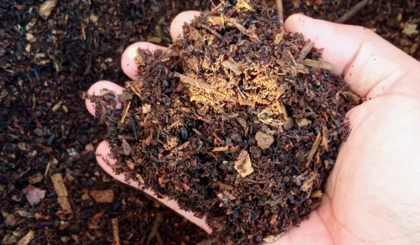 Regards croisés, immersion au jardin et rencontre avec ses acteurs : atelier valorisation des biodéchets