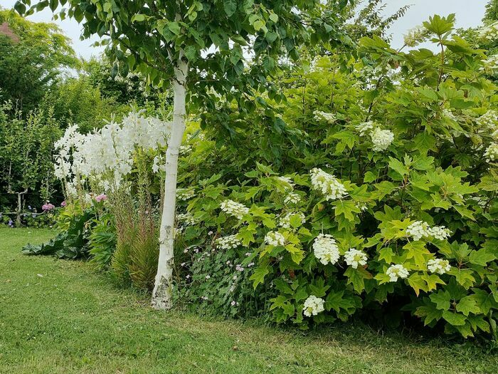 Un jardin d’exception, entre structure et poésie végétale