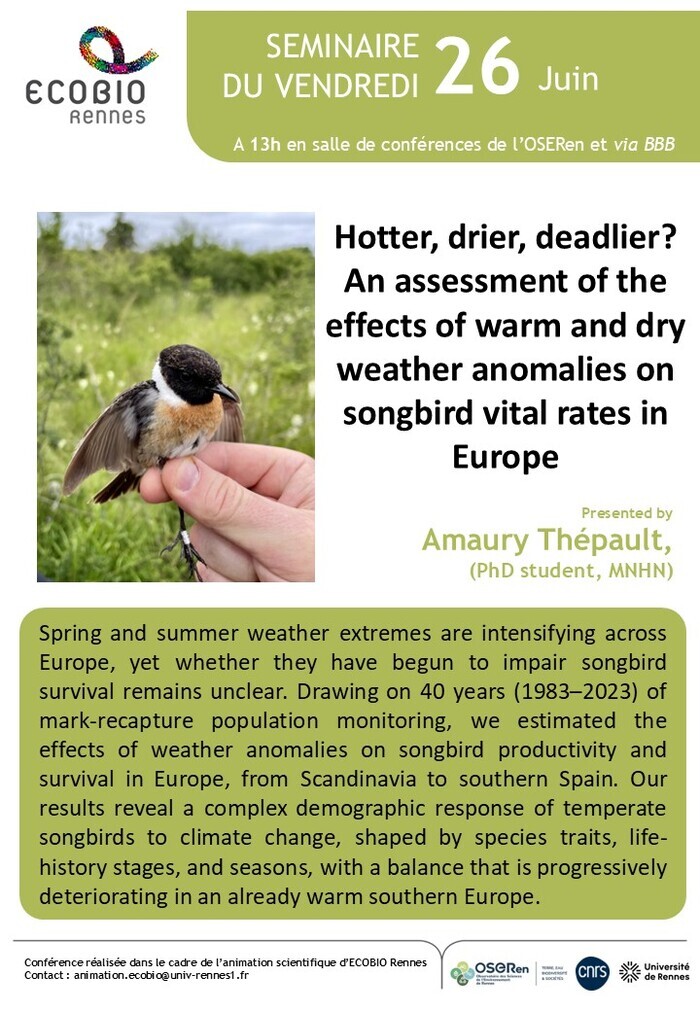 Hotter, drier, deadlier? An assessment of the effects of warm and dry weather anomalies on songbird vital rates in Europe