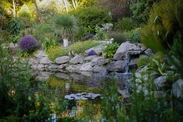Visite au Jardin Exotique & Botanique de Roscoff