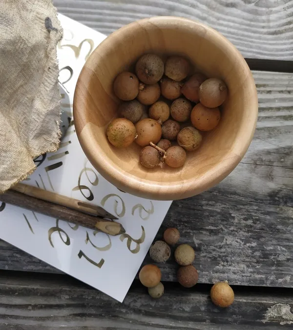 Les recettes du copiste