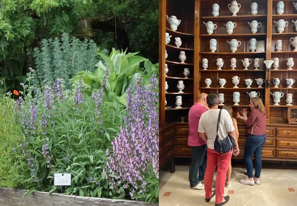 Visite "Les plantes médicinales, du Grand Jardin à l’apothicairerie"