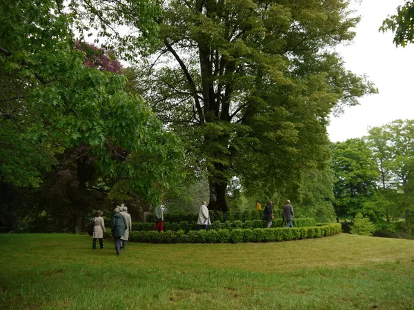 Visite de l'arboretum