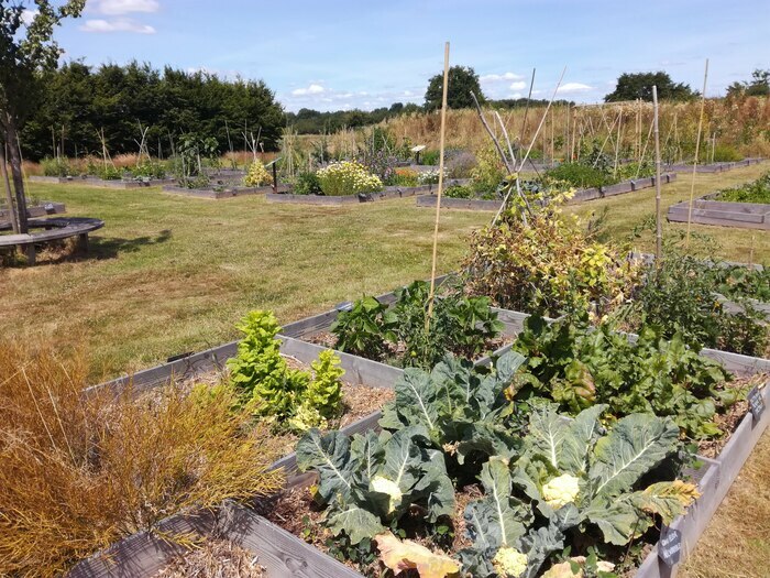 Parcours : visite du potager