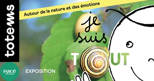 Je suis tout un jeu