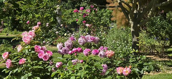 Visite : Les 23 mondes des Jardins de l'Ange