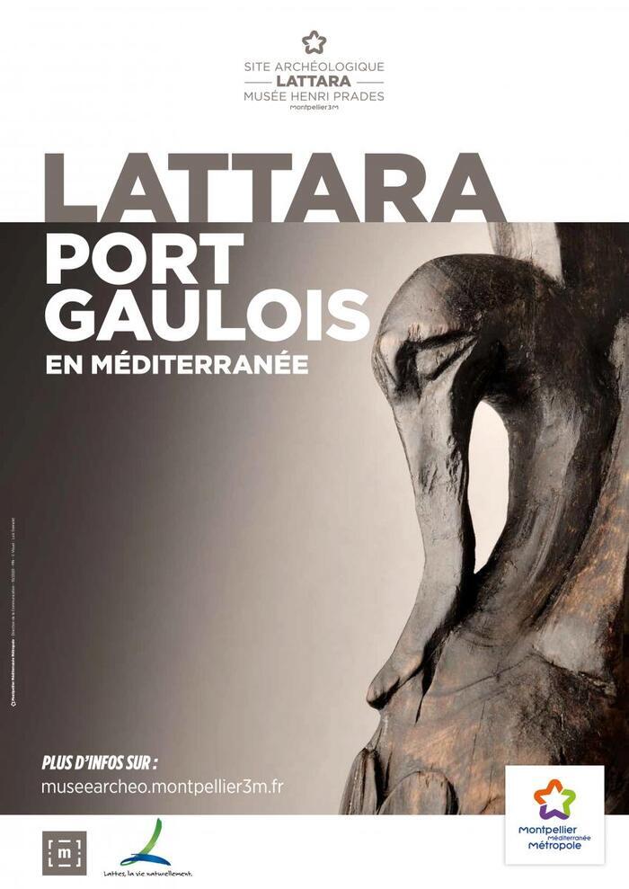 Lattara : visite libre de la collection permanente