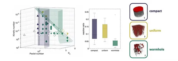 Milieux poreux vivants : contrôles microbiens à différentes échelles sur l'hydrodynamique et le transport souterrains