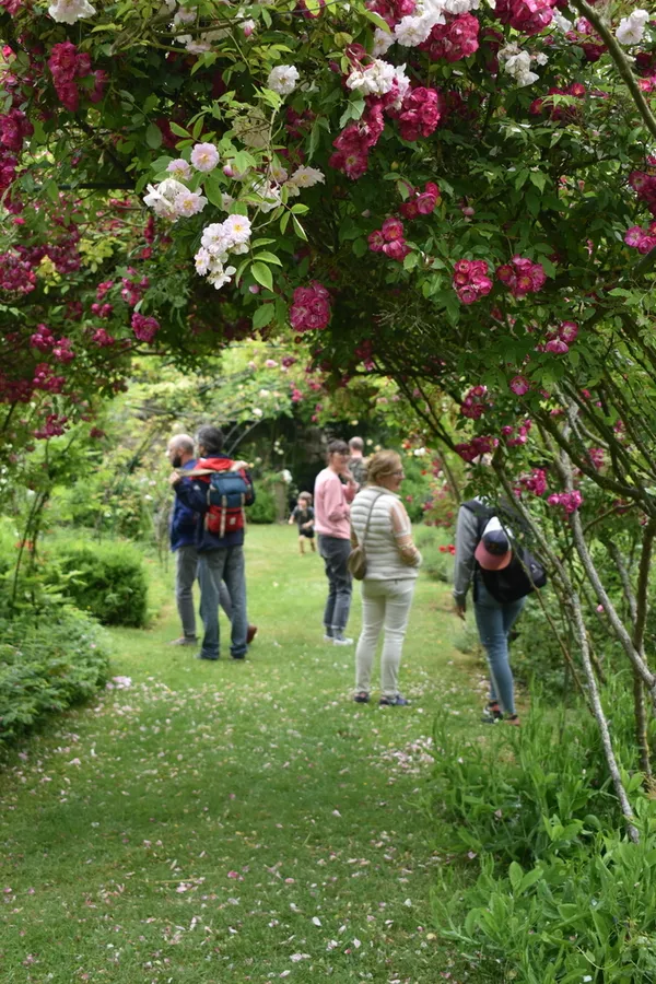 Les jardins de l'abbaye de Vaucelles